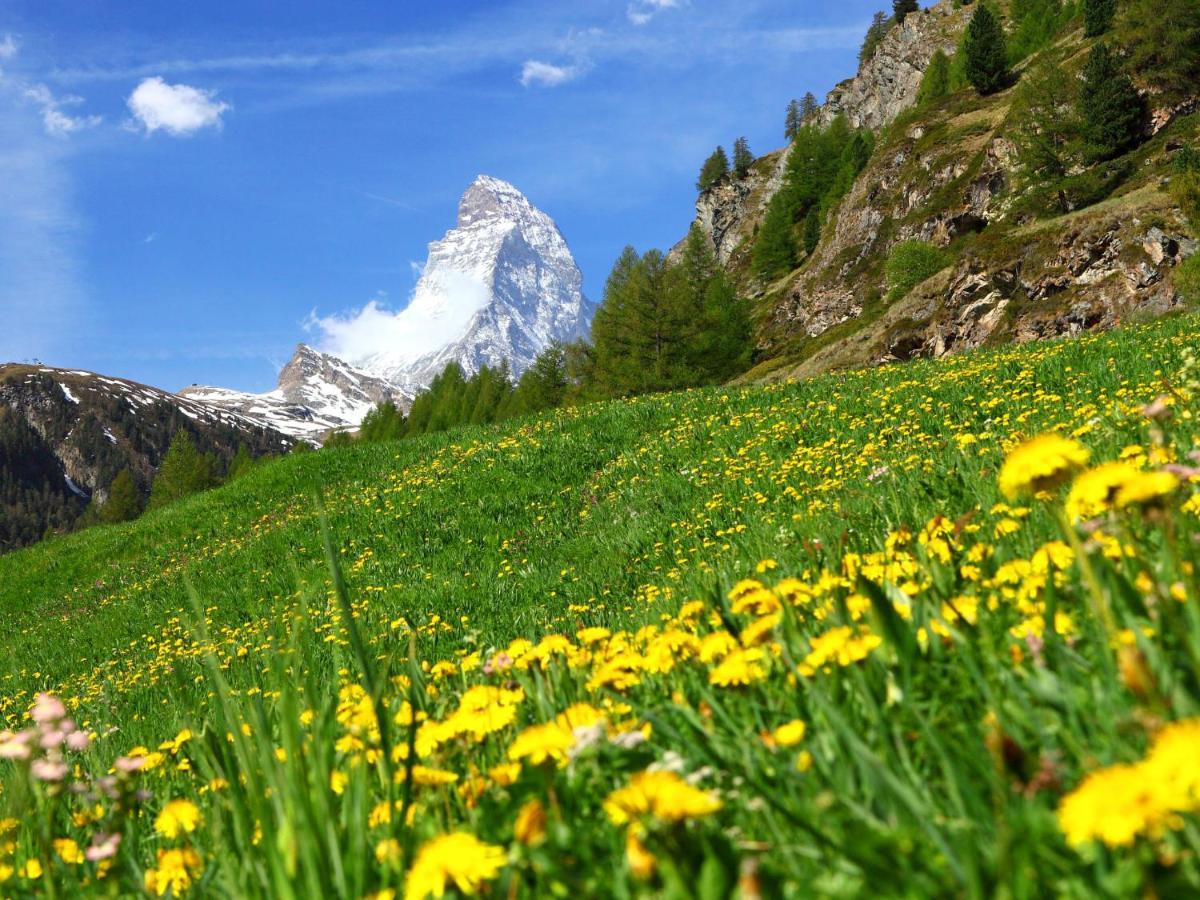 Apartment Kirchplatz Zermatt